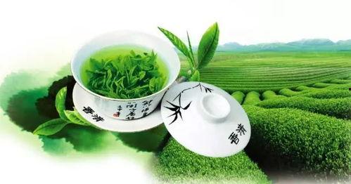 姐弟吃瓜小绿茶免费阅读,小绿茶的免费阅读之旅  第2张